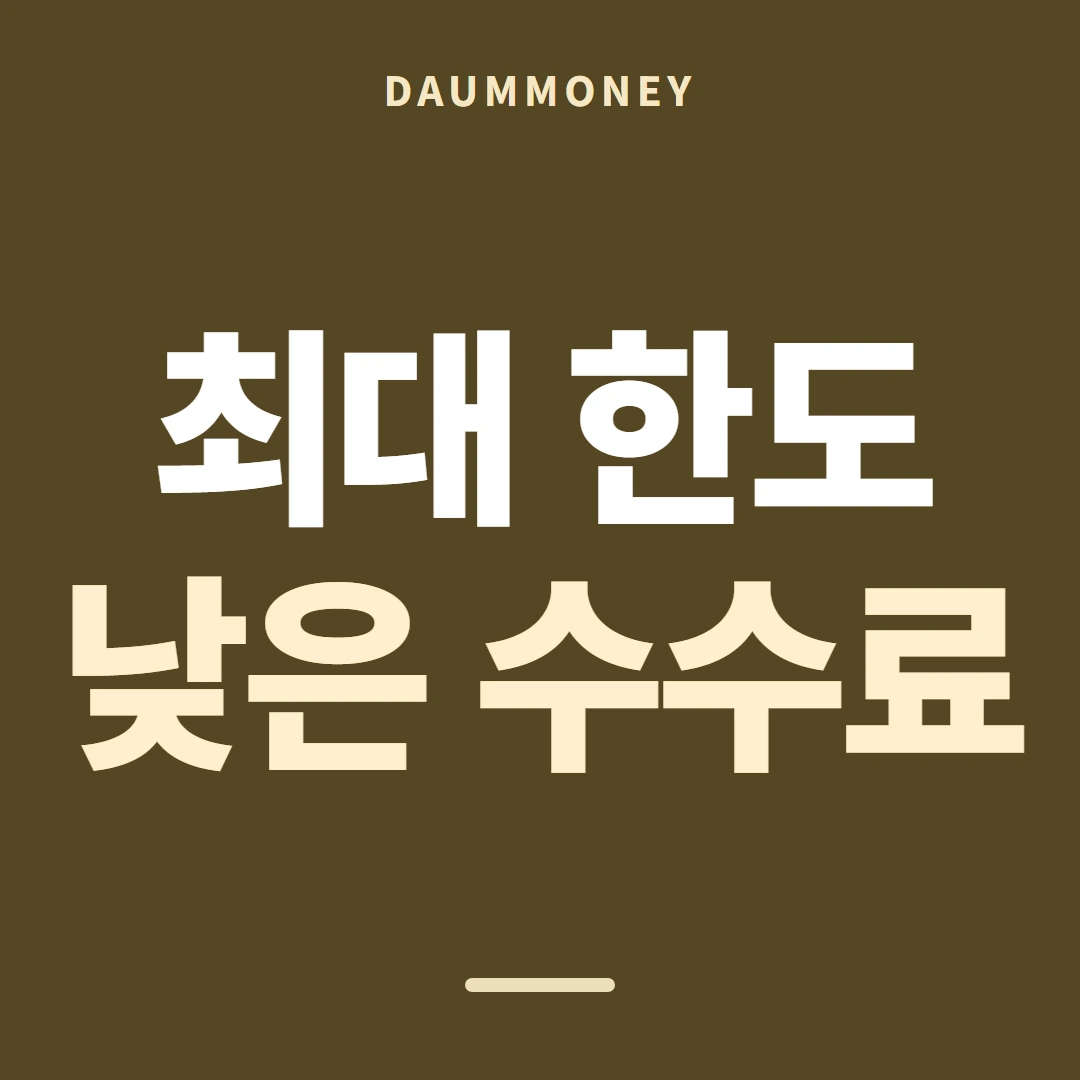 다음머니 신용카드 현금화 방법 네 칸으로 적기 안내 배너